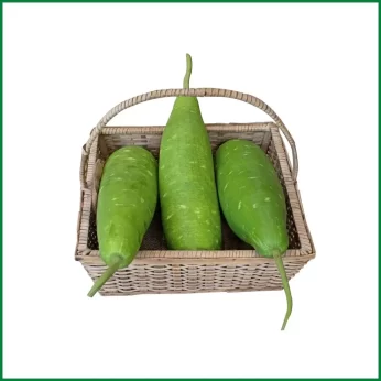 Bottle Gourd (Lau) – লাউ/Pcs