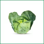 Organic Green Cabbage - অর্গানিক সবুজ পাতা কপি - O'Natural/Pcs