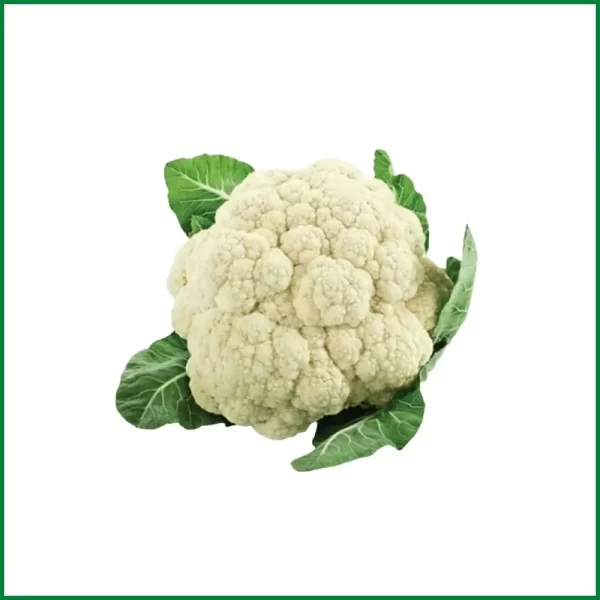 Cauliflower - ফুলকপি