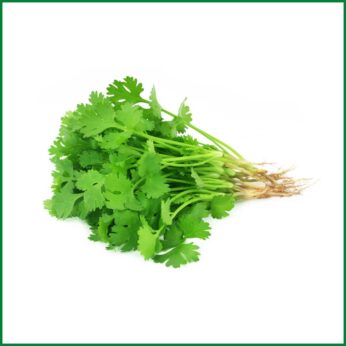 Coriander Leaves (Dhonia Pata) – ধনিয়া পাতা – ONatural
