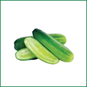 Cucumber (Shosha) – শসা/Kg