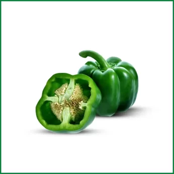 Hydroponic Green Capsicum – হাইড্রোপনিক সবুজ ক্যাপসিকাম – O’Natural/Kg