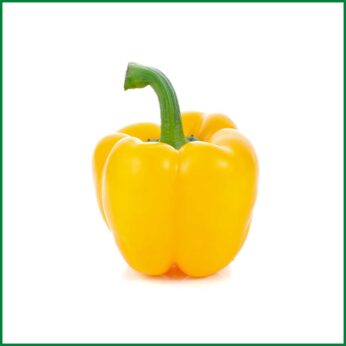 Hydroponic Yellow Capsicum – হাইড্রোপনিক হলুদ ক্যাপসিকাম – O’Natural/Kg