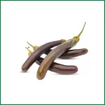 Brinjal Long - লম্বা বেগুন - O'Natural/Kg