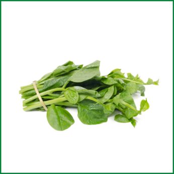 Malabar Spinach (Pui Shak) – পুঁই শাক – O’Natural/Kg