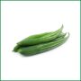 Snake Gourd (Chichinga) - চিচিঙ্গা - O'Natural/Kg