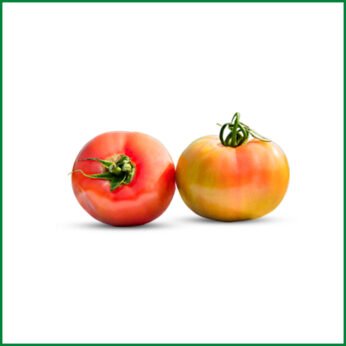 Hydroponic Apple Tomato – হাইড্রোপনিক অ্যাপল টমেটো – O’Natural/Kg