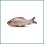 Katla Fish - কাতলা মাছ (3 Kg Plus) - O'Natural