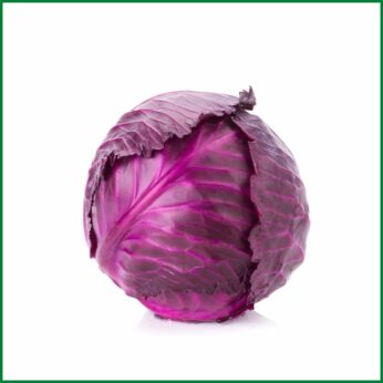 Organic Red Cabbage (Lal Badhakopi) – অর্গানিক লাল বাঁধাকপি – O’Natural/Pcs