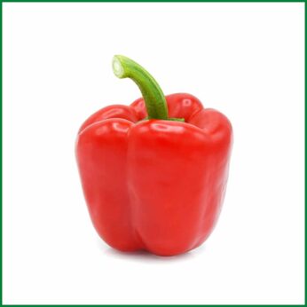 Hydroponic Red Capsicum – হাইড্রোপনিক লাল ক্যাপসিকাম – O’Natural/Kg