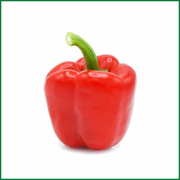 Hydroponic Red Capsicum - হাইড্রোপনিক লাল ক্যাপসিকাম - O'Natural/Kg