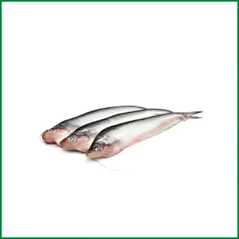 Pabda Fish – পাবদা মাছ (Medium) – O’Natural/Kg