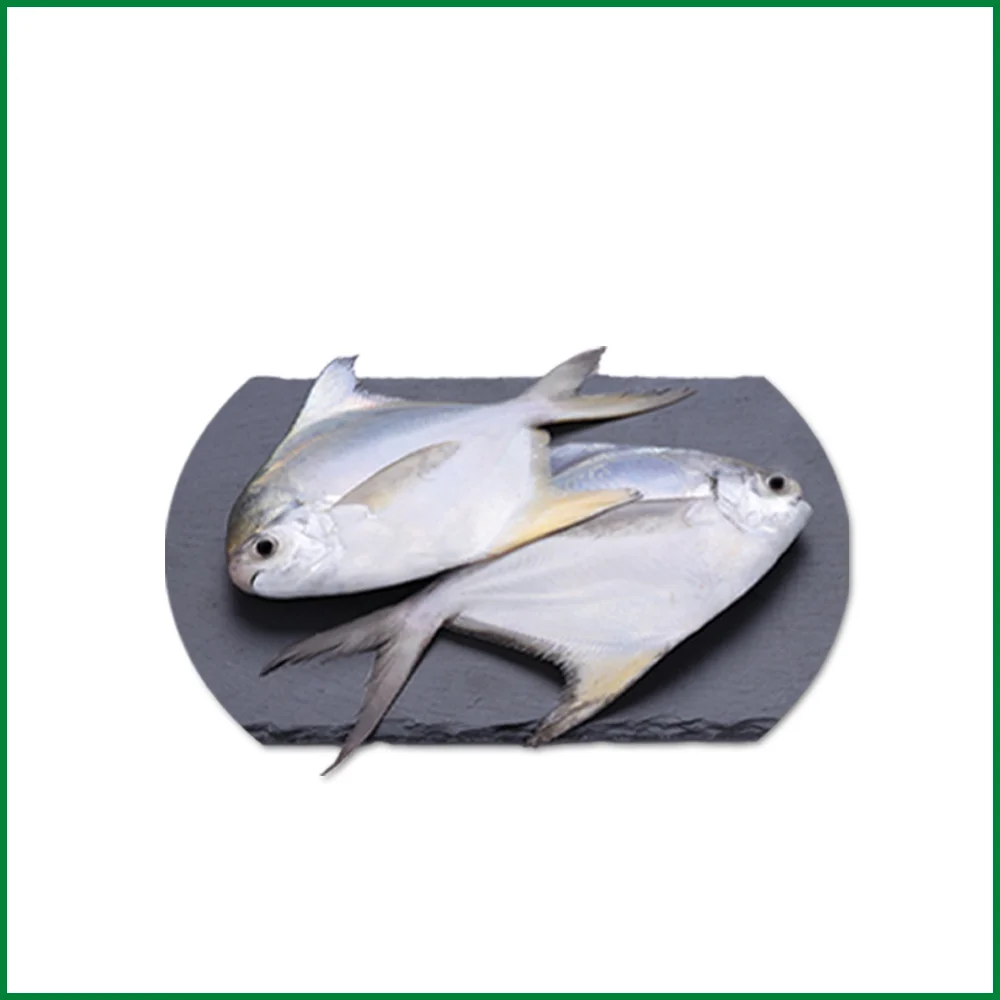 Rupchanda Fish – রুপচাঁদা মাছ – O’Natural/Kg