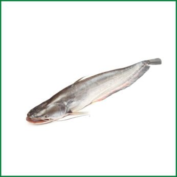 Boal Fish – বোয়াল মাছ – O’Natural/Kg