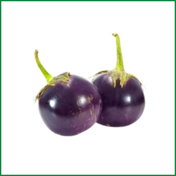 Brinjal Round (Red) – গোল বেগুন (লাল) /Kg