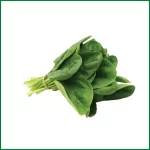 Hydroponic Spinach - হাইড্রোপনিক পালং শাক - O'Natural/Kg