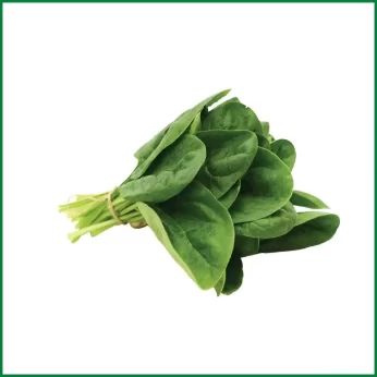 Hydroponic Spinach – হাইড্রোপনিক পালং শাক – O’Natural/Kg