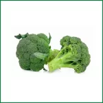 Broccoli - ব্রকলি - O'Natural/Pcs