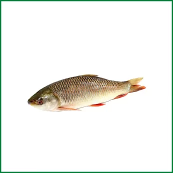 Deshi Rui Fish – দেশি রুই মাছ (3 Kg+) – O’Natural/Kg