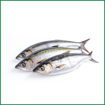 Mackarel / Aila / Narkoli Fish – সামুদ্রিক ম্যাকারেল / আইলা / নারকলি মাছ – O’Natural/Kg