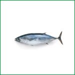 Tuna - Bay of bengal (1-2 kg Size) - O'Natural