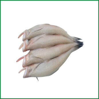 Loitta Fish – লইট্টা মাছ – O’Natural/Kg