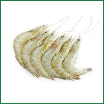 Head on White Sea Shrimp – O’Natural/Kg