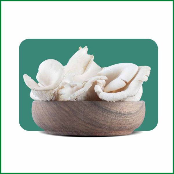 Fresh Oyster Mushroom - অয়েস্টার মাশরুম - O'Natural