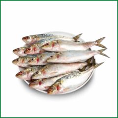 Sardin / কলম্বো মাছ  – O’Natural/Kg