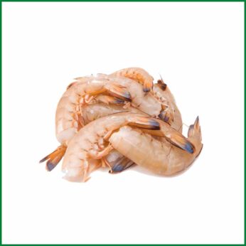 Headless Brown Sea Shrimp Premium Quality – O’Natural/Kg
