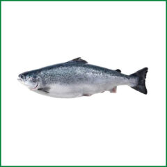 Premium Norwegian Whole Salmon (6kg+) – O’Natural/kg